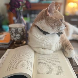 Meet your Posher, Katy